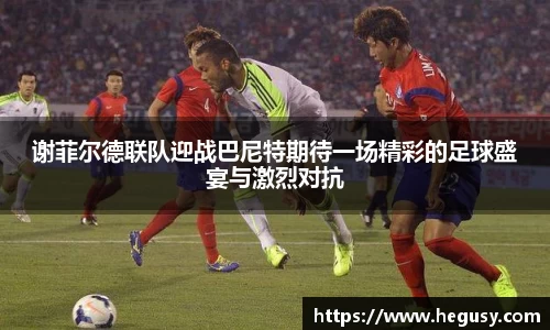谢菲尔德联队迎战巴尼特期待一场精彩的足球盛宴与激烈对抗