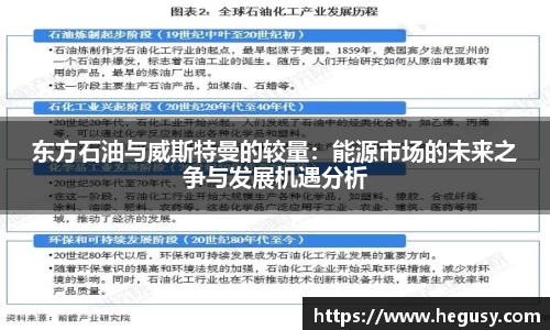 东方石油与威斯特曼的较量：能源市场的未来之争与发展机遇分析